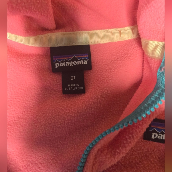 Patagonia Kids Micro D Snap Fleece - 2T - Picture 3 of 3